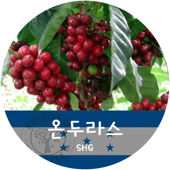 온두라스 SHG (500g)