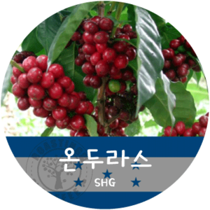 온두라스 SHG (500g)