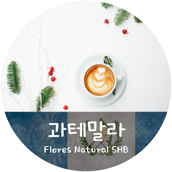 [신상품] 플로레스 내추럴 (500g)