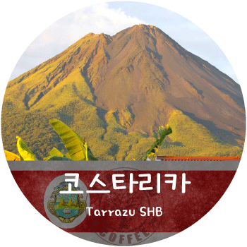 코스타리카 따라주 (200g)