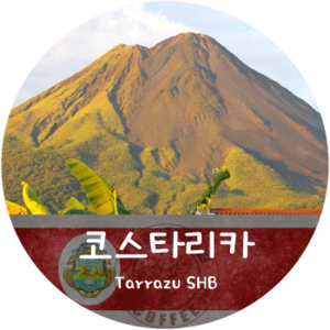 코스타리카 따라주 (200g)