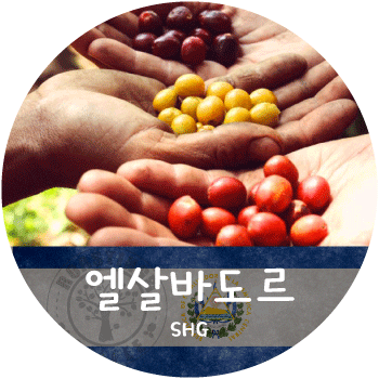 엘살바도르 SHG (500g)