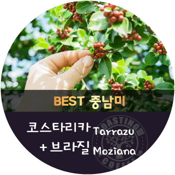 [이벤트]브라질 모지아나 600g + 코스타리카 따라주 600g