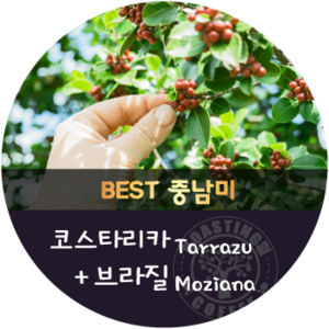 [이벤트]브라질 모지아나 600g + 코스타리카 따라주 600g