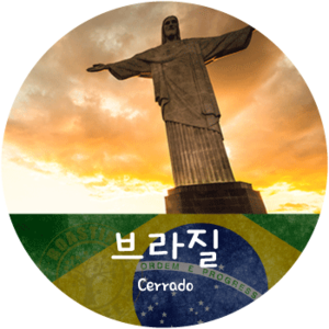 세하도 (200g)