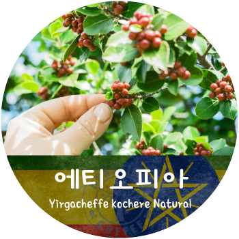 예가체프 코체레 내추럴 (500g)