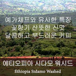 시다모 Washed (500g)