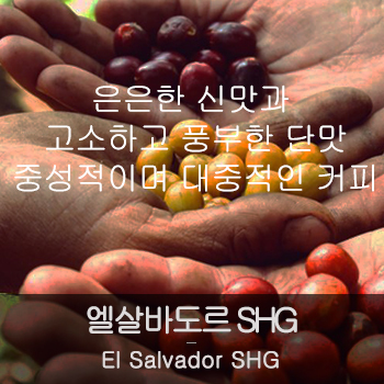 엘살바도르 SHG (500g)