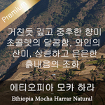 모카 하라 