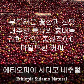 시다모 Natural  (500g)