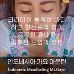 가요마운틴 (500g)