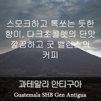 안티구아 (500g)